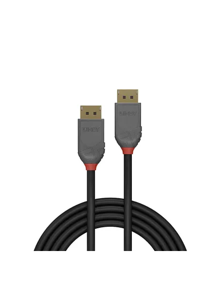 Lindy 36482 cable DisplayPort 2 m Negro