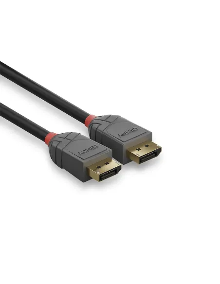 Lindy 36482 cable DisplayPort 2 m Negro