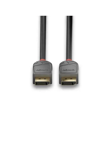 Lindy 36482 cable DisplayPort 2 m Negro