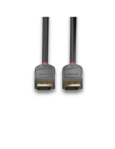 Lindy 36482 cable DisplayPort 2 m Negro