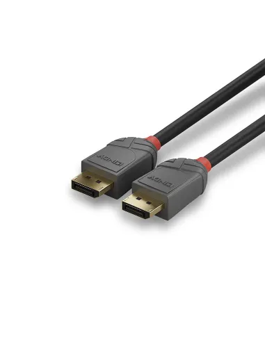 Lindy 36482 cable DisplayPort 2 m Negro