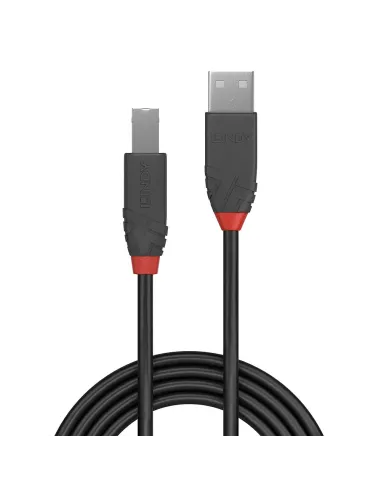 Lindy 36671 cable USB USB 2.0 0,5 m USB A USB B 0,48 Gbit s Negro, Gris