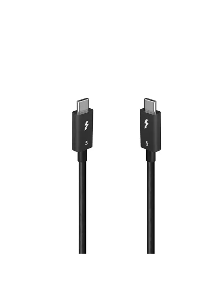 Lindy 31130 cable Thunderbolt 1 m 80 Gbit s Negro