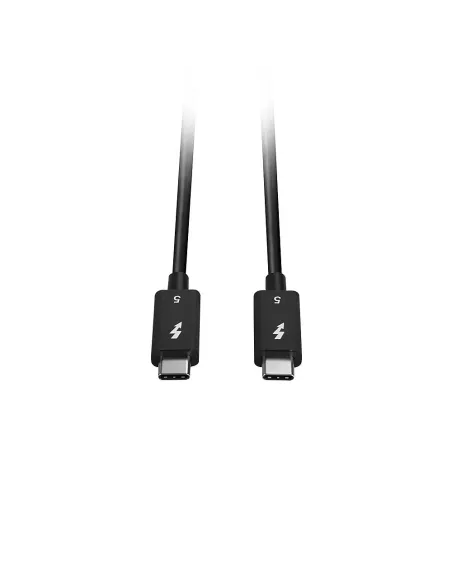 Lindy 31130 cable Thunderbolt 1 m 80 Gbit s Negro