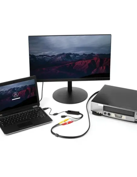StarTech.com SVID2USB232 dispositivo para capturar video Composite + S-Video + RCA