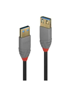 Lindy 36761 cable USB USB 3.2 Gen 1 (3.1 Gen 1) 1 m USB A 5 Gbit s Negro