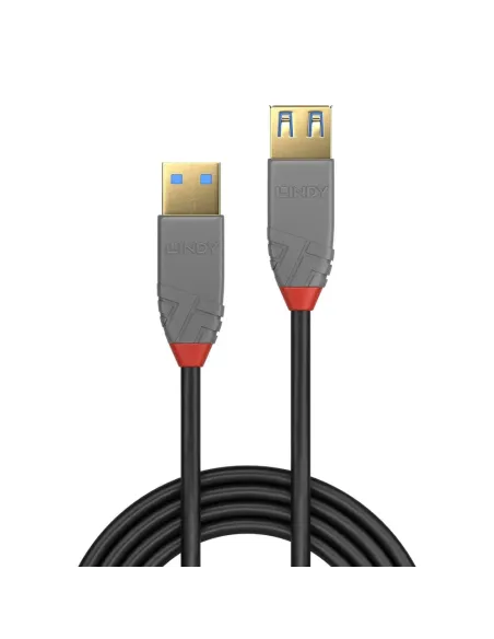 Lindy 36761 cable USB USB 3.2 Gen 1 (3.1 Gen 1) 1 m USB A 5 Gbit s Negro