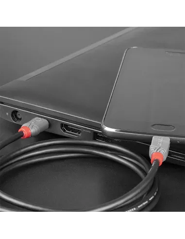 Lindy 36893 cable USB USB 2.0 3 m USB C Micro-USB B 0,48 Gbit s Negro