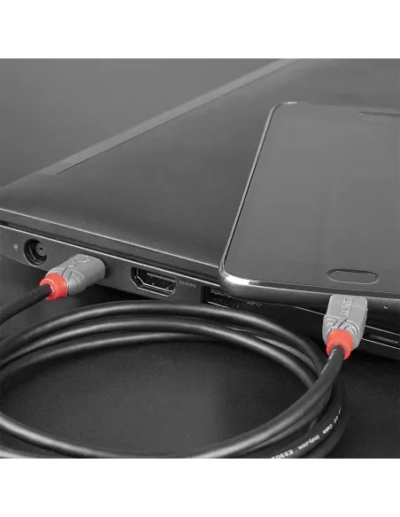 Lindy 36893 cable USB USB 2.0 3 m USB C Micro-USB B 0,48 Gbit s Negro