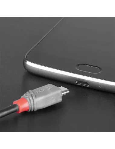 Lindy 36893 cable USB USB 2.0 3 m USB C Micro-USB B 0,48 Gbit s Negro