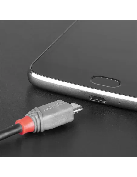 Lindy 36893 cable USB USB 2.0 3 m USB C Micro-USB B 0,48 Gbit s Negro