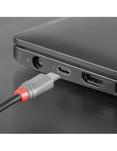 Lindy 36893 cable USB USB 2.0 3 m USB C Micro-USB B 0,48 Gbit s Negro