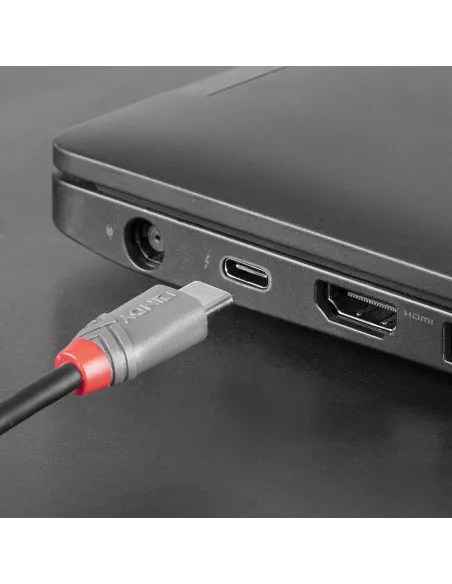 Lindy 36893 cable USB USB 2.0 3 m USB C Micro-USB B 0,48 Gbit s Negro