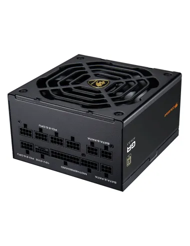 COUGAR CGRGDN-1000 unidad de fuente de alimentación 1000 W 20+4 pin ATX ATX Negro