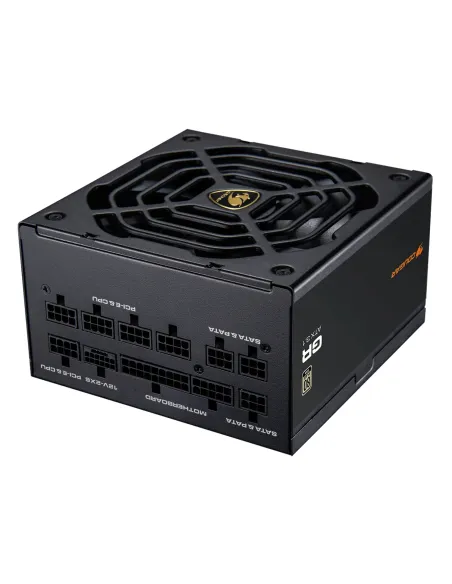 COUGAR CGRGDN-1000 unidad de fuente de alimentación 1000 W 20+4 pin ATX ATX Negro