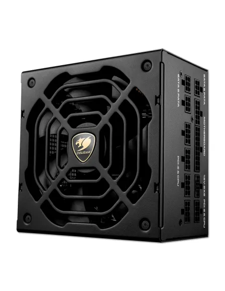 COUGAR CGRGDN-1000 unidad de fuente de alimentación 1000 W 20+4 pin ATX ATX Negro