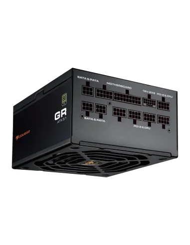 COUGAR CGRGDN-1000 unidad de fuente de alimentación 1000 W 20+4 pin ATX ATX Negro