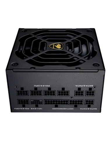 COUGAR CGRGDN-1000 unidad de fuente de alimentación 1000 W 20+4 pin ATX ATX Negro