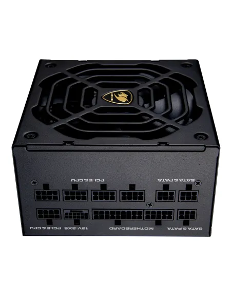 COUGAR CGRGDN-1000 unidad de fuente de alimentación 1000 W 20+4 pin ATX ATX Negro