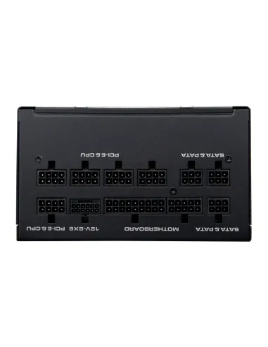 COUGAR CGRGDN-1000 unidad de fuente de alimentación 1000 W 20+4 pin ATX ATX Negro