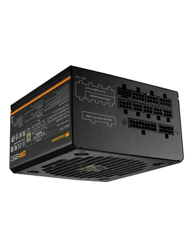 COUGAR CGRGDN-850 unidad de fuente de alimentación 850 W 20+4 pin ATX ATX Negro