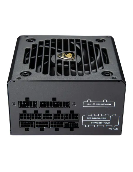 COUGAR CGRGDN-850 unidad de fuente de alimentación 850 W 20+4 pin ATX ATX Negro