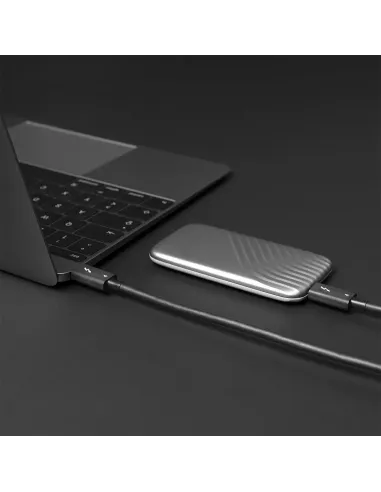 Lindy 31120 cable Thunderbolt 1 m 40 Gbit s Negro