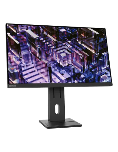 Lenovo ThinkVision E24q-30 Monitor
