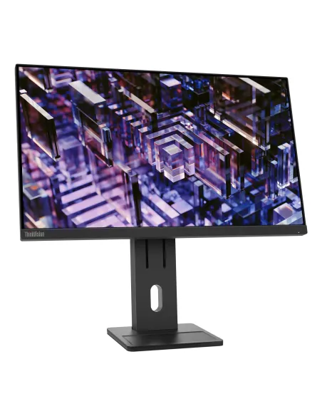 Lenovo ThinkVision E24q-30 Monitor