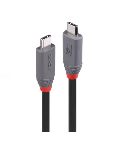 Lindy 36958 cable USB USB4 Gen 3x2 2 m USB C 40 Gbit s 240 W Negro