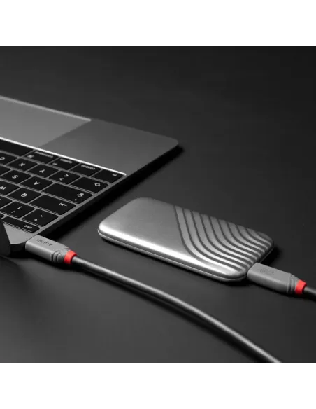 Lindy 36958 cable USB USB4 Gen 3x2 2 m USB C 40 Gbit s 240 W Negro