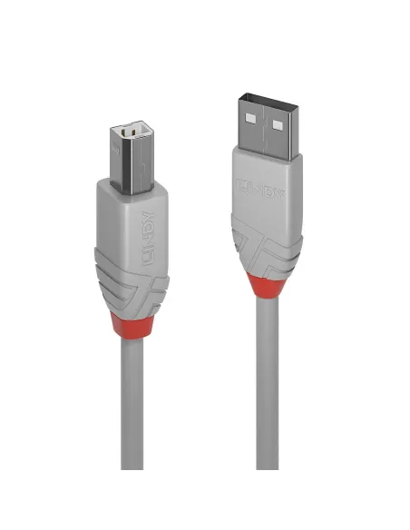 Lindy 36683 cable USB USB 2.0 2 m USB A USB B 0,48 Gbit s Gris