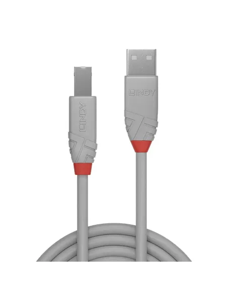 Lindy 36683 cable USB USB 2.0 2 m USB A USB B 0,48 Gbit s Gris