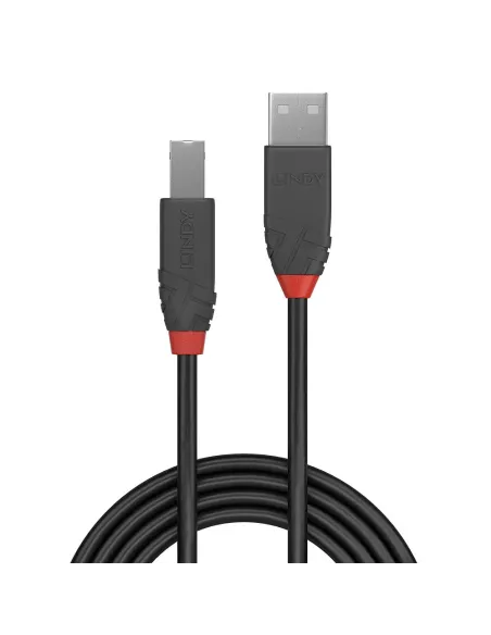 Lindy 36672 cable USB USB 2.0 1 m USB A USB B 0,48 Gbit s Negro