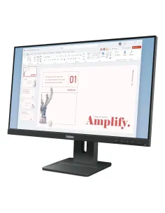 Lenovo ThinkVision E24-40 Monitor 2