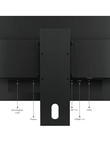 Lenovo ThinkVision E24-40 Monitor