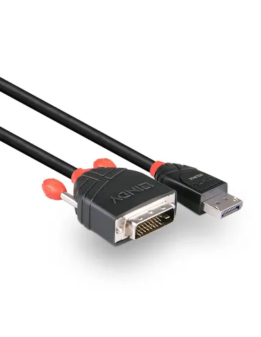 Lindy 41491 adaptador de cable de vídeo 2 m DisplayPort DVI-D Negro