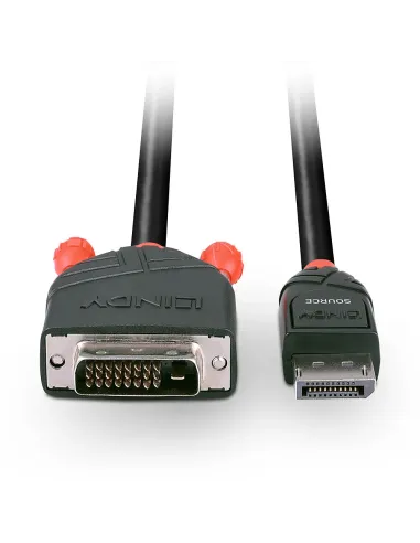 Lindy 41491 adaptador de cable de vídeo 2 m DisplayPort DVI-D Negro