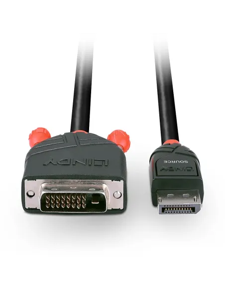 Lindy 41491 adaptador de cable de vídeo 2 m DisplayPort DVI-D Negro