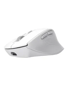 Trust Niven ratón Oficina mano derecha RF Wireless + Bluetooth 3200 DPI 2