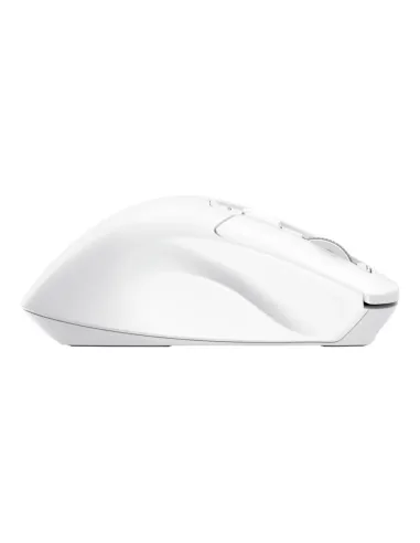 Trust Niven ratón Oficina mano derecha RF Wireless + Bluetooth 3200 DPI