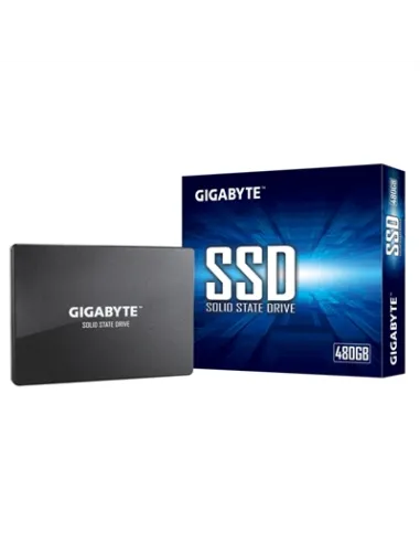 Gigabyte GP-GSTFS31480GNTD