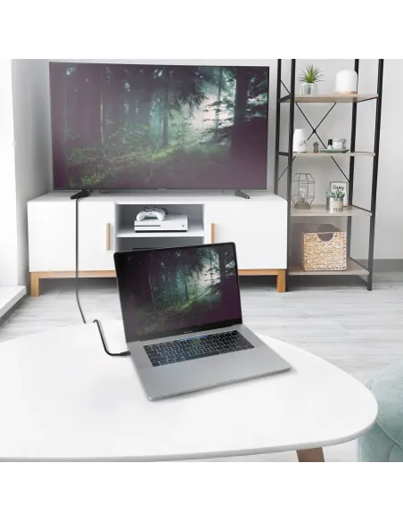 AISENS Cable Conversor Aluminio USB-C A HDMI 2.1 8k@60Hz, USB-C M-HDMI M, Negro, 2.0m