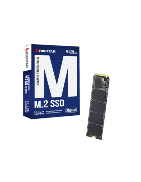 Biostar SSD M760 256Gb Pcie Gen3x4 NVMe 1.3