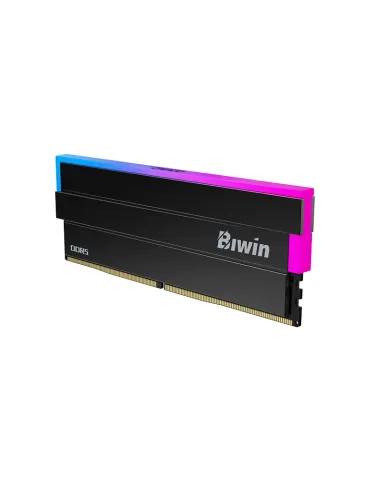 Biwin BXL54860DW1-D28FB módulo de memoria 48 GB 2 x 24 GB DDR5 6000 MT s