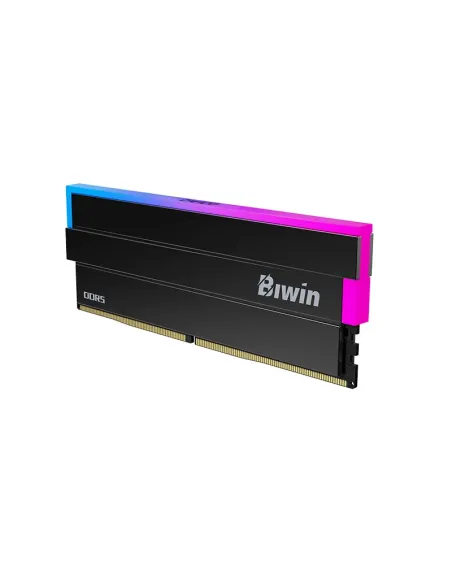 Biwin BXL54860DW1-D28FB módulo de memoria 48 GB 2 x 24 GB DDR5 6000 MT s