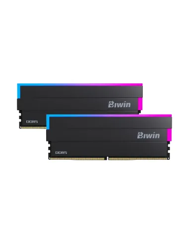 Biwin BXL54860DW1-D28FB módulo de memoria 48 GB 2 x 24 GB DDR5 6000 MT s
