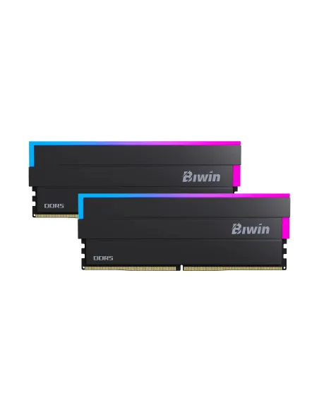 Biwin BXL54860DW1-D28FB módulo de memoria 48 GB 2 x 24 GB DDR5 6000 MT s