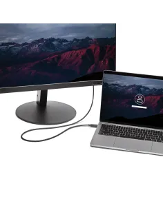 StarTech.com Cable de 2m USB C a VGA - Cable Adaptador Activo de Vídeo de 1920x1200 1080p USB Tipo C a VGA - Compatible con 2