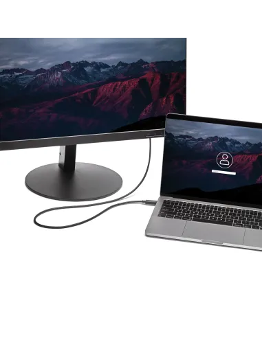 StarTech.com Cable de 2m USB C a VGA - Cable Adaptador Activo de Vídeo de 1920x1200 1080p USB Tipo C a VGA - Compatible con